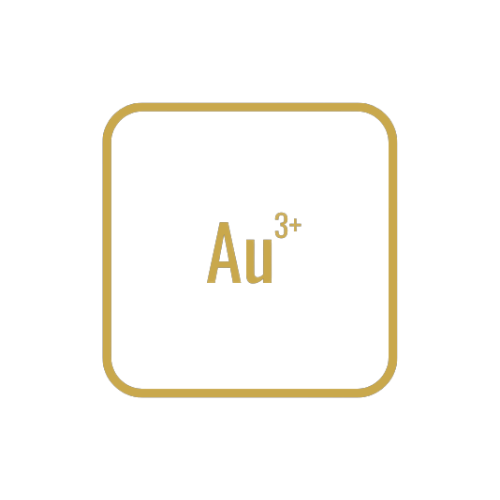 Auric Performance Au3 logo
